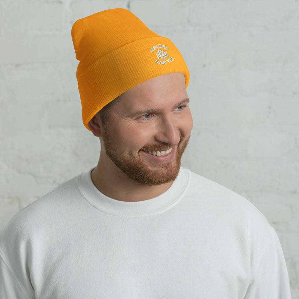 Free Cisco Logo Beanie