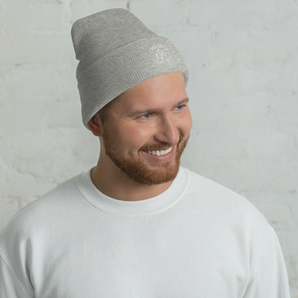 Free Cisco Logo Beanie